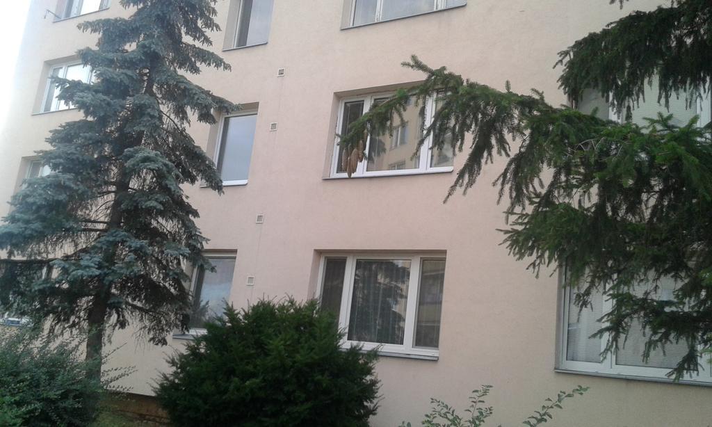 Apartman Ortenova 74 库特纳霍拉 外观 照片